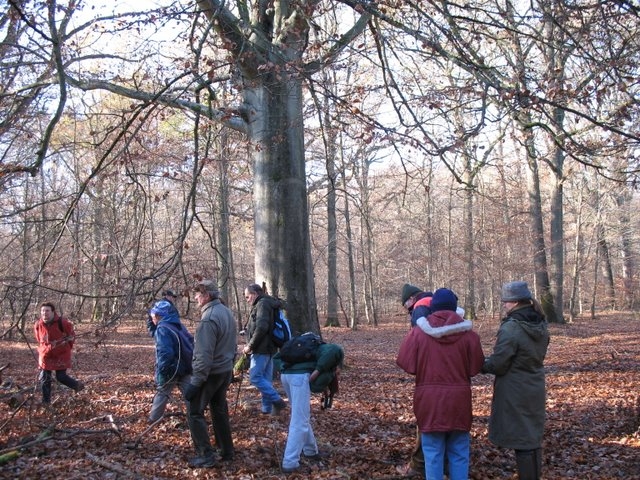 2007 11 Etangs de Hollande 34